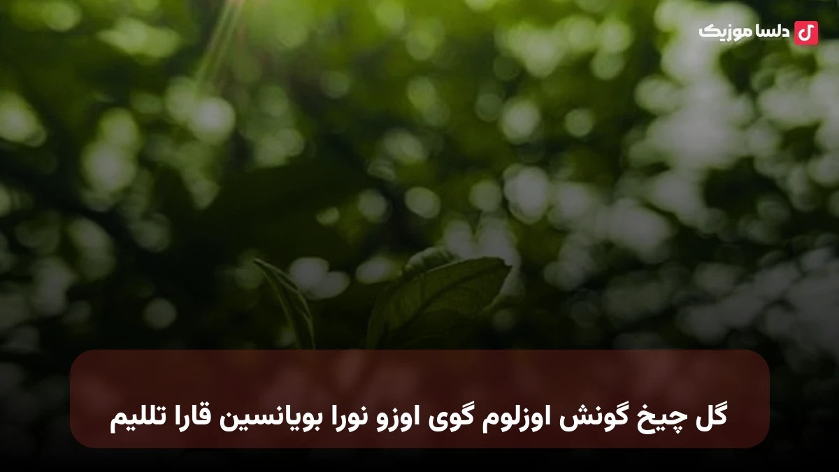گل چیخ گونش اوزلوم گوی اوزو نورا بویانسین قارا تللیم ترکی